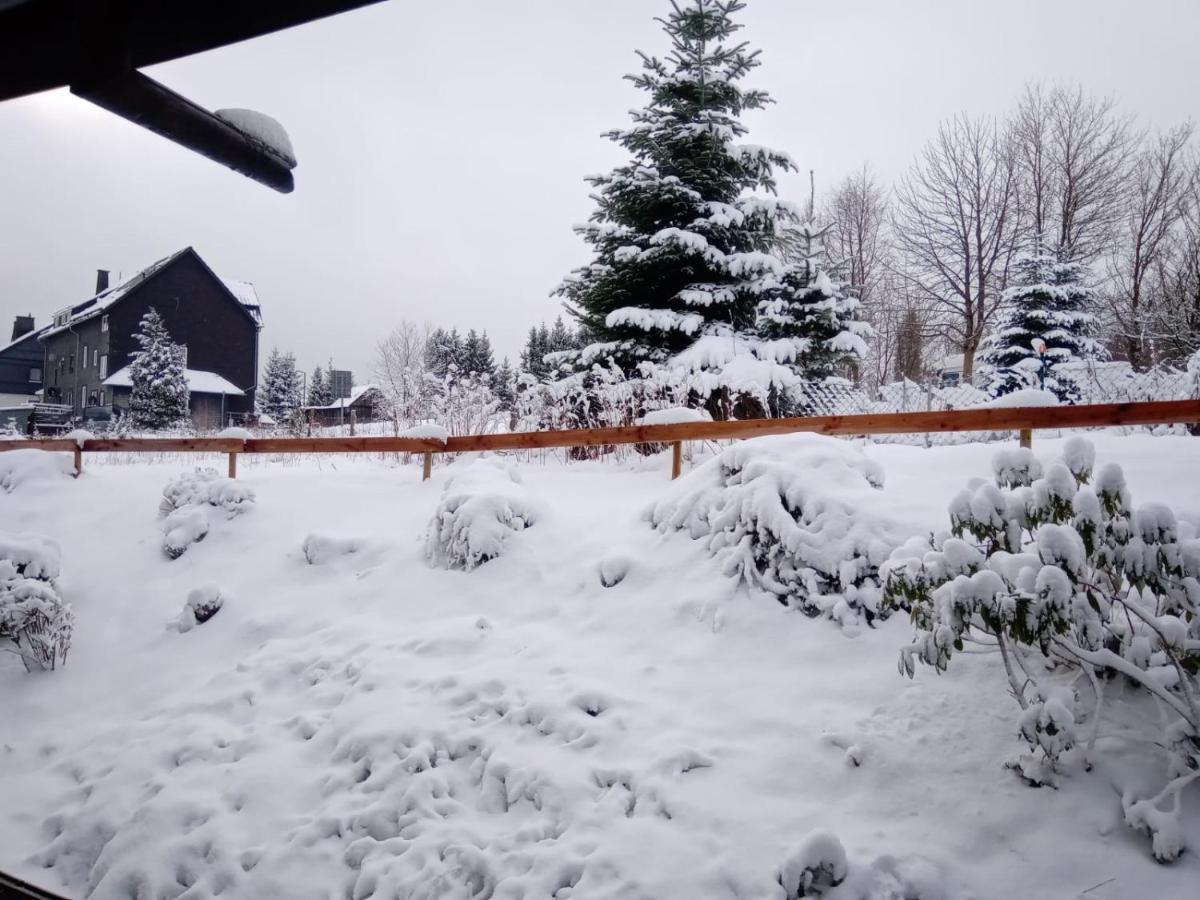 Ferienwohnung Charlotte Winterberg Dış mekan fotoğraf